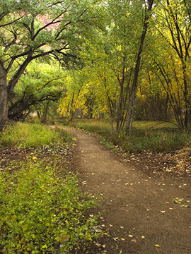 A Lovely Walk - Mark Dodge