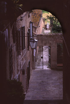 Break Time - Siena, Italy - Mark Dodge